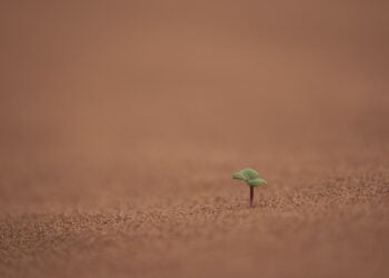 Beginikah Kehidupan? Tentang Pertemuan, Pengkhianatan dan Kehilangan. #tanyatarot